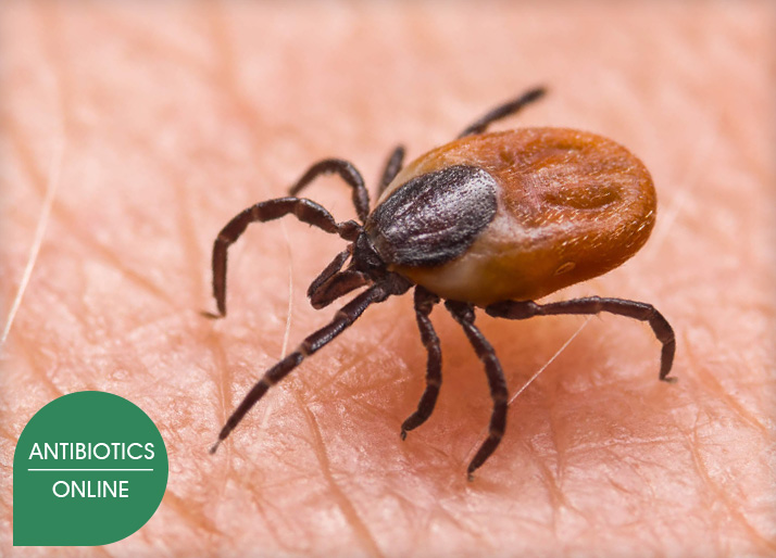 Lyme borreliosis